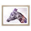 Giraffe with Purple Haze - Picture Frame Painting Print-55732905-55732903