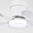 Junilla 21'' Ceiling Fan with LED Lights