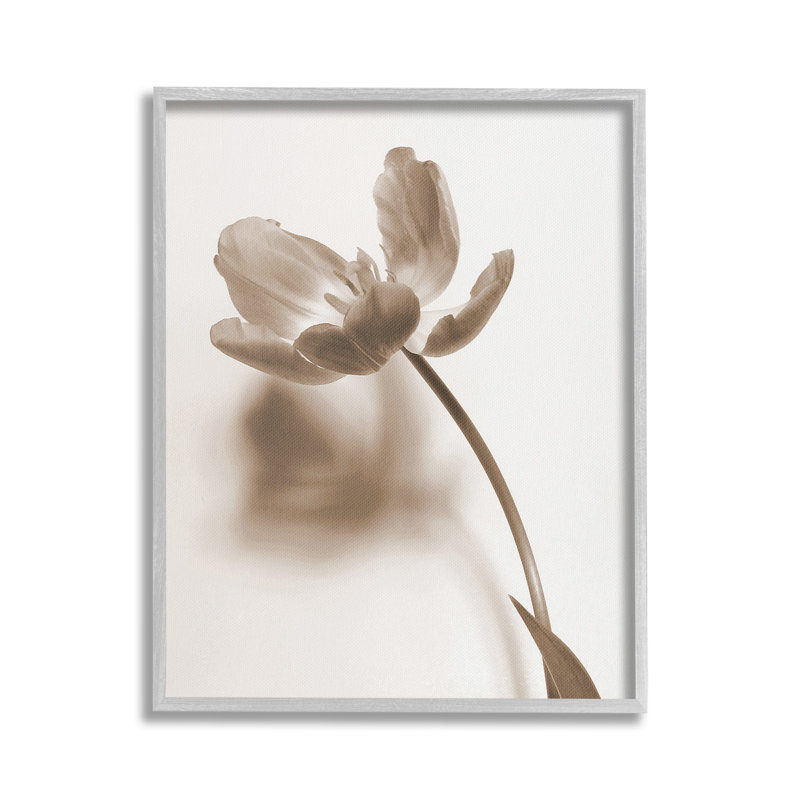 Tige de tulipe minimale, Giclée encadrée noir minuit, H 20 po x l 16 po