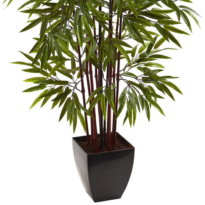 Faux Bamboo Tree in Planter, 60" H x 37" W x 30" D
