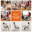 Fauteuil B100