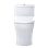 Aquia 1.28 GPF Elongated One-Piece Toilet with High Efficiency Flush (Seat Included)