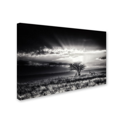 « lever avec hartebeest », reproduction de photo sur toile tendue