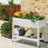 Tameia Raised Garden Bed
