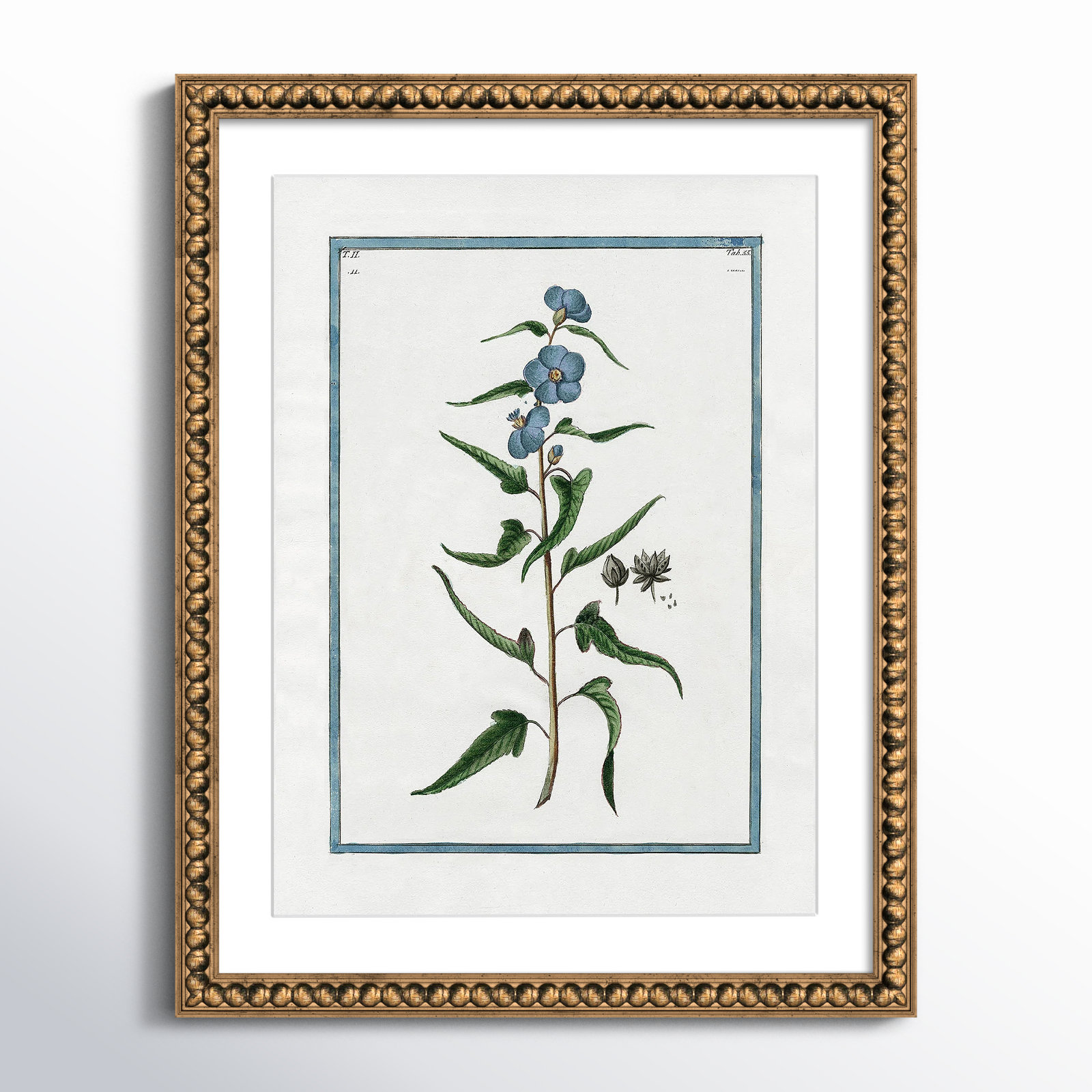 Shabby Elegance Botanical I - Framed Art Full Bleed, Gold Bead Framed, 18" W x 24" H