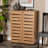 Anvar 15 Pair Shoe Storage Cabinet