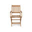 Nayoun Solid Wood Arms Included Patio Folding Chair Set of 2-2110955502-2110955503