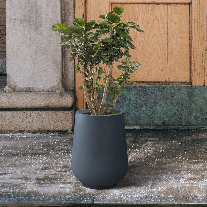 Pot à fleurs en béton Laihla, H 13,8 po x l 10,6 po x P 10,6 po, Gris anthracite