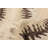 Wool Chevron Indoor Rug