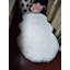 Tapis blanc en fausse fourrure de lapin de luxe blanc-86177887