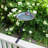 Scallop Shell Birdbath with Rail Mount Bracket