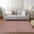 Washable Indoor / Outdoor Rug-1145851797