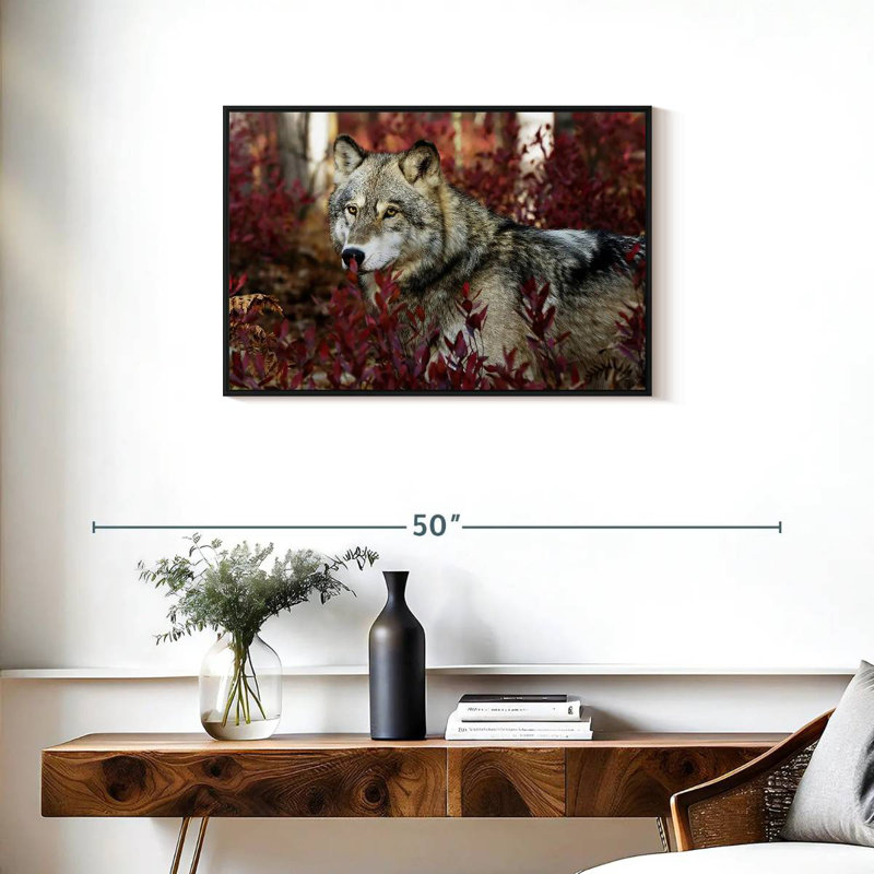 Loup caché, Cadre flottant noir, 31 po x 21 po