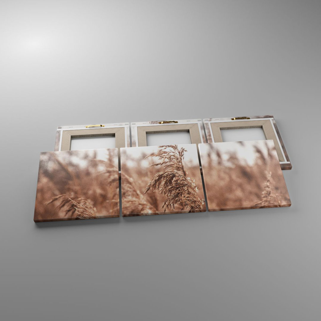 3-tlg. Leinwandbilder-Set Cane Meadow Boho