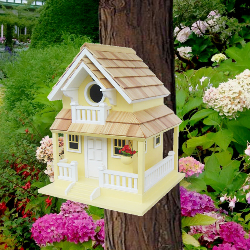 Yellow Pine Shingle Backyard Bird Cottage with Flower Boxes