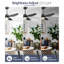 Tibuh 52'' Ceiling Fan with LED Lights-1527119967