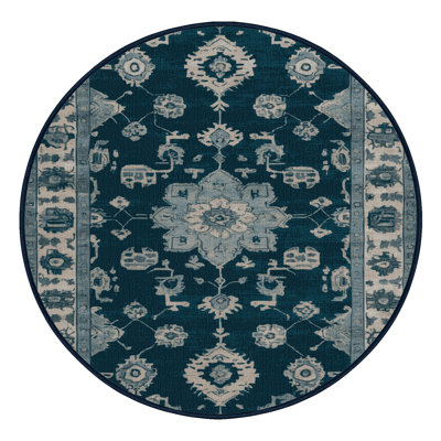 Machine Washable Overdyed Blue Area Rug