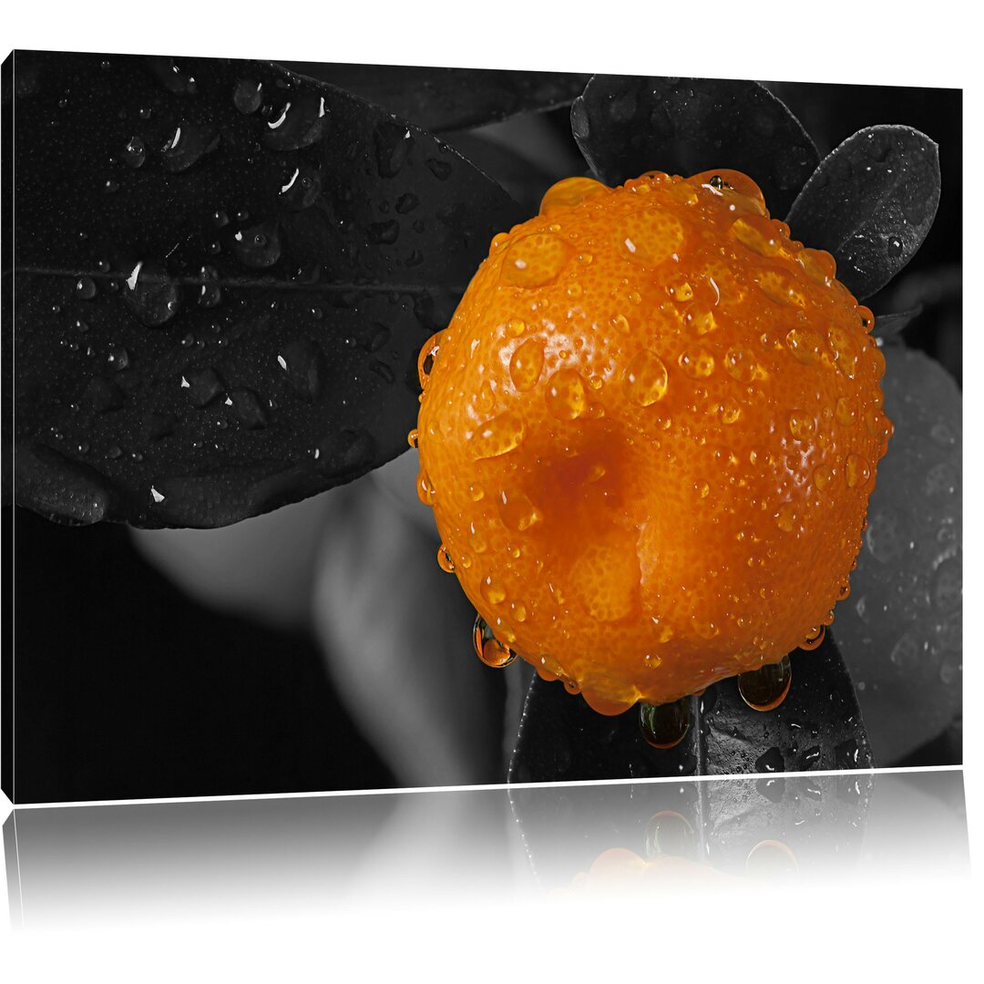 Leinwandbild Orange mit Wassertropfen