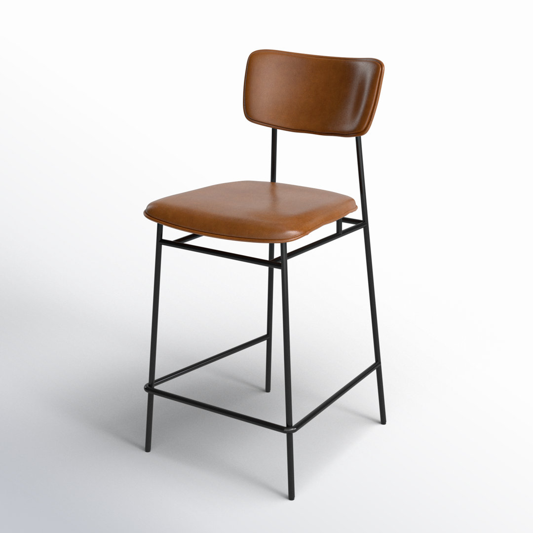 Turin Leather Bar & Counter Stool AllModern 