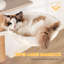 Habitation pour chat moderne avec bac à litière, poteaux à griffer, bol d'alimentation et bâtons de pompons amovibles, gris