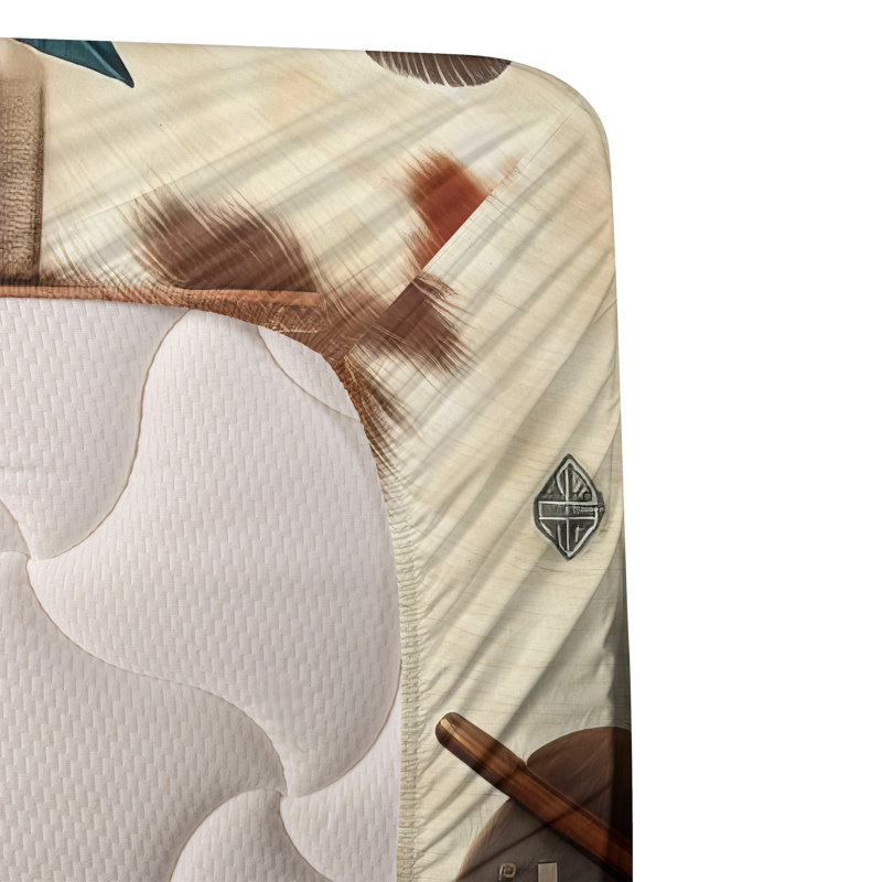 Ambesonne Rustic Sheet Set Ethnic Southwestern Feathers Redwood and Dark Turquoise, Twinxl Sheet Set with 1 Pillowcase
