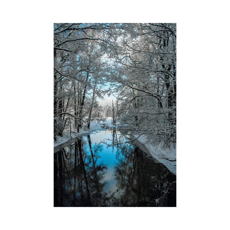 Winterday by Lauri Lohi - Wrapped Canvas Print, 30.48 cm H x 45.72 cm W