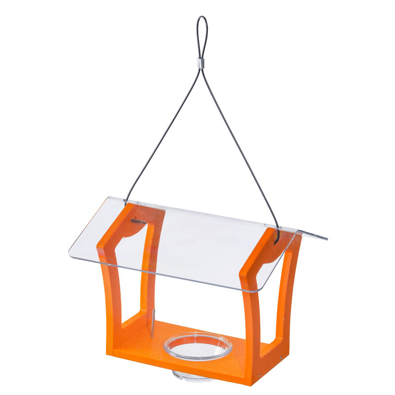 Birds Choice 3 oz Mangeoire nectar et gelée, orange