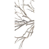 Enfolding Boughs II Print by David Brown