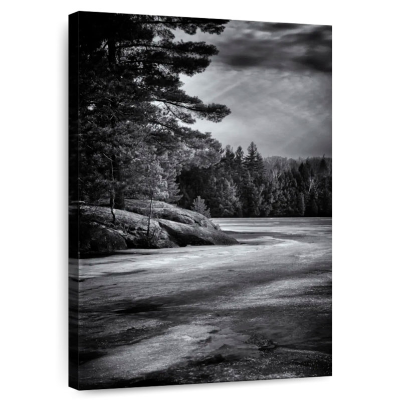 Alvord Gullwing Lake, 45" H x 30" W