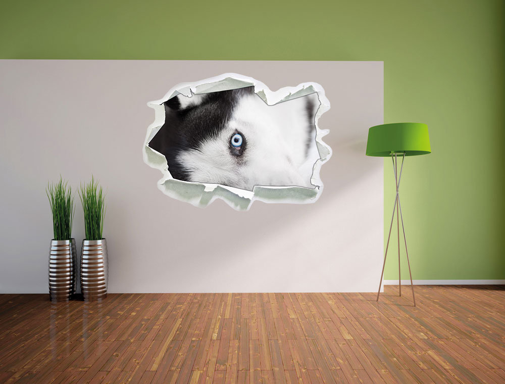 Wandtattoo Husky mit Eisblauen Augen im Bett