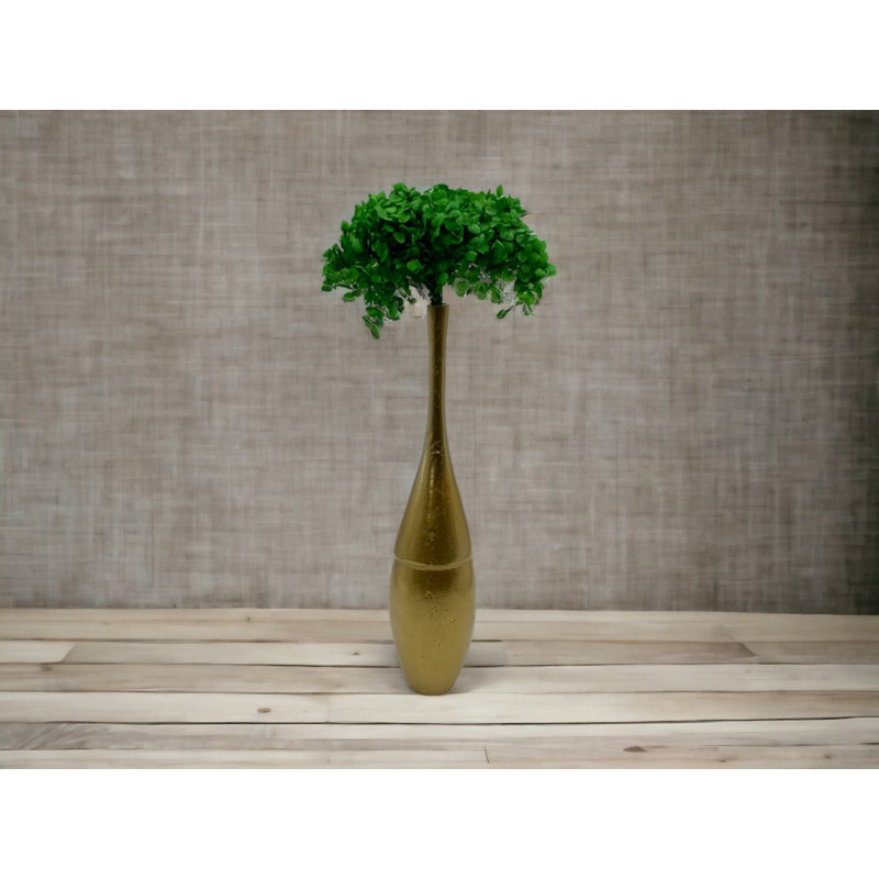 Hortensia Anna séchée, Vert foncé