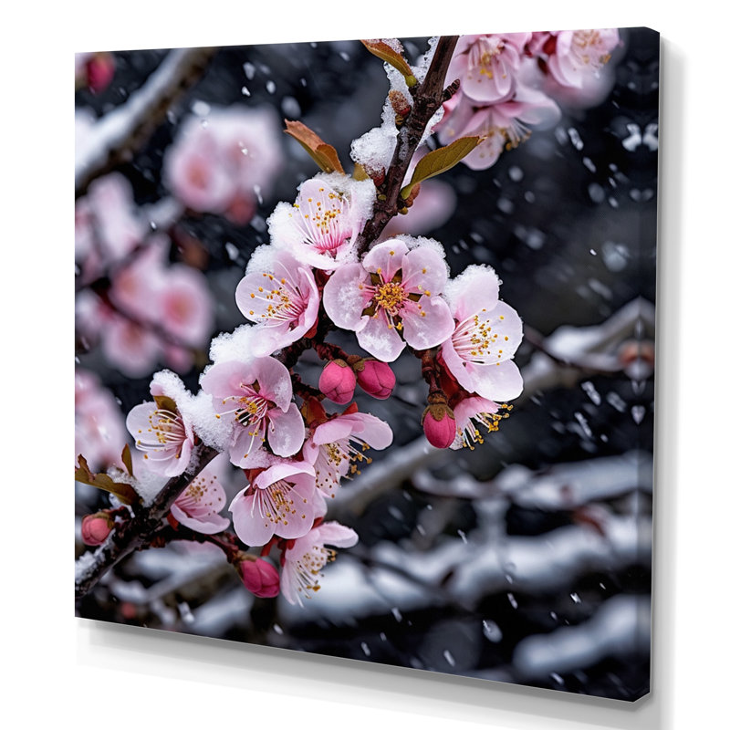 Fleur de cerisier en hiver I, H 24 po x l 24 po x P 1 po, Toile tendue