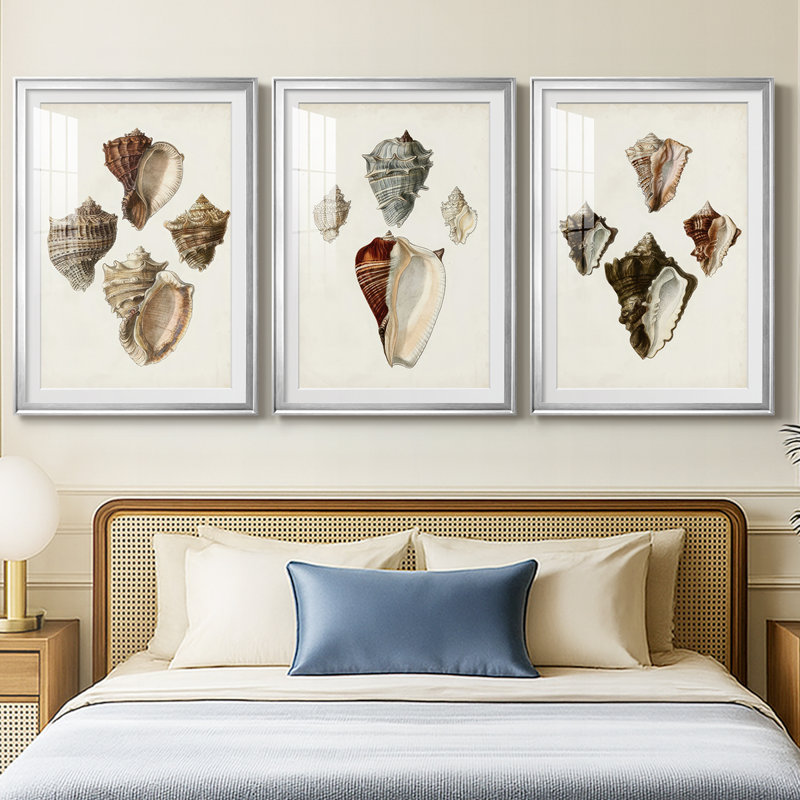 Sowerby Shells I - Impression personnalisée de qualité supérieure avec cadre mat - 3 pièces, Argent argent, H 27 po x l 39 po