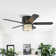 Renard 48'' Ceiling Fan with Light Kit
