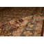 Wool Oriental Area Rug in Brown