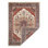 Xavious Oriental Area Rug