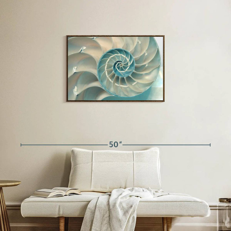 Inside A Nautilus Shell, Floating Frame Walnut, 31" X 21"