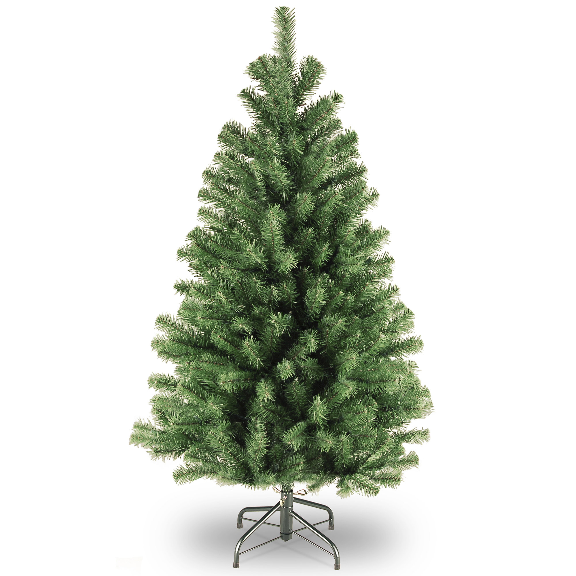  North Valley Spruce Tree, 4.5 FT