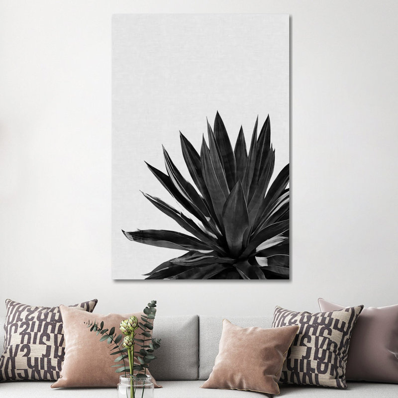 Agave Cactus B&W by Orara Studio - Wrapped Canvas Print, 152.5 cm H x 101.5 cm W