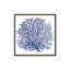 Impression sur toile «Marine Coral I» par Cindy Jacobs-1071589054-1071589049-1071589061