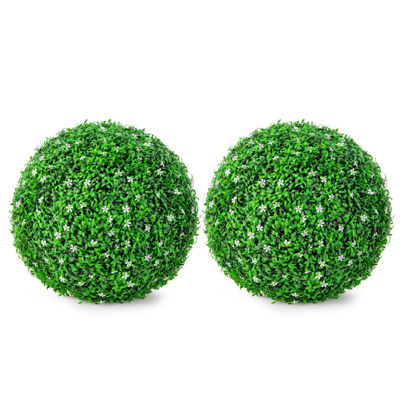 19,5 plante
