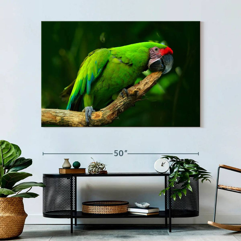 Military Macaw, 34" H x 51" W