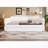 Queen Size Upholstered Daybed with USB Port-1728542015