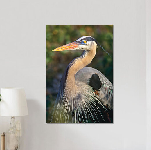 «Great Heron, North America», impression sur toile, H 18 po x l 12 po x P 1,5 po, Toile tendue, Pas de tapis