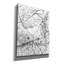 «Leaf Skeleton BW» par Design Fabrikken, estampe numérique sur toile-706550456
