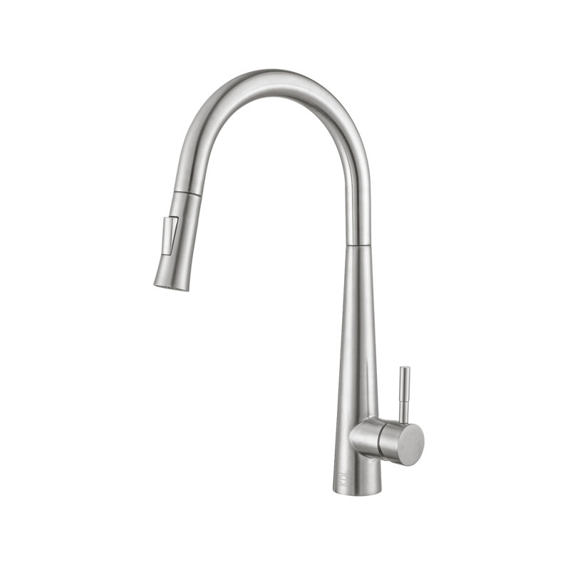 Elegant Home Living Lucas Pull Down Spray Kitchen Faucet, Brushed Nickel
