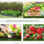 Alyta 4 Ft W x 2.5 Ft D Mini Greenhouse