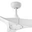 Reze 3 Blade Ceiling Fan with LED Light Kit-1778392409