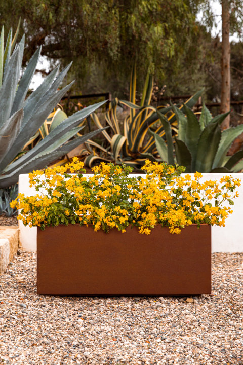 Shop the Long Box Corten Planter