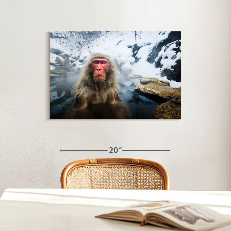 Brampt Serious Japanese Snow Monkey